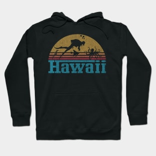 Hawaii  Sunset Scuba Diving Design Hoodie